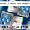African Black Ant Pills viagra5